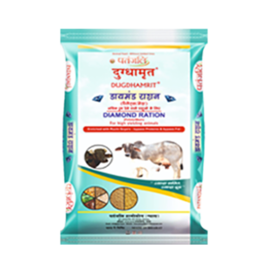 Cattle feed in latur
